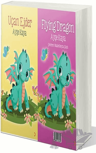 Uçan Ejder - Flying Dragon