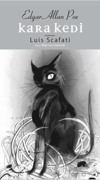 Kara Kedi