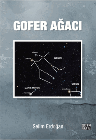Gofer Ağacı