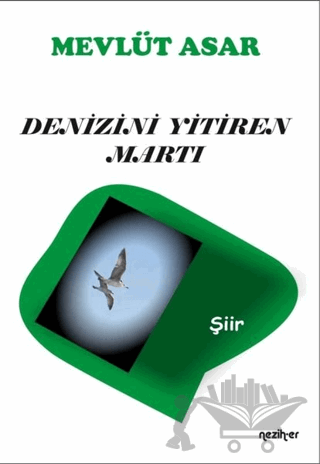 Denizini Yitiren Martı