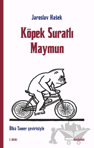 Köpek Suratlı Maymun