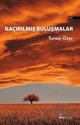 Kaçırılmış Buluşmalar