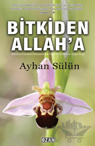 Bitkiden Allah'a