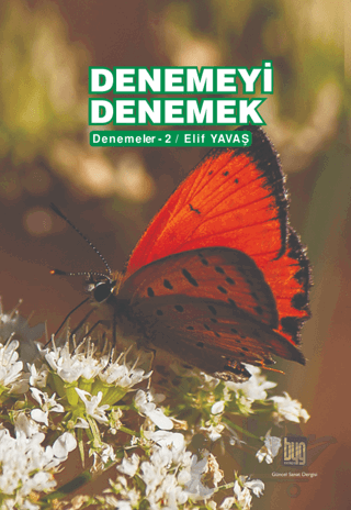 Denemeyi Denemek