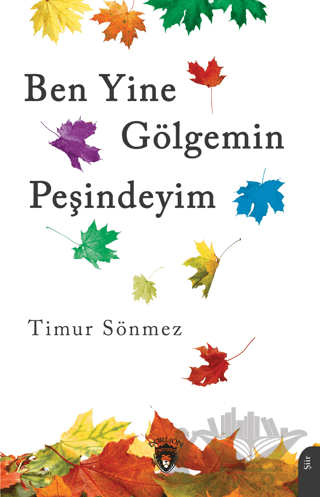 Ben Yine Gölgemin Peşindeyim