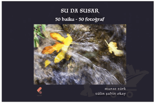 Su da Susar