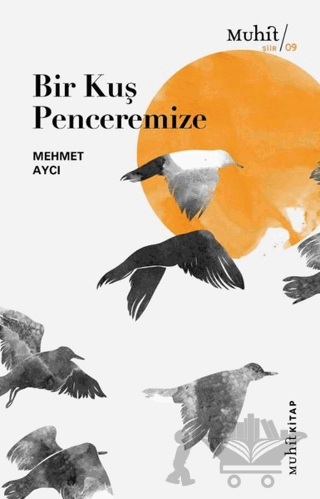 Bir Kuş Penceremize