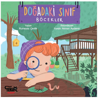 Doğadaki Sınıf - Böcekler