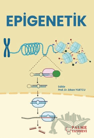 Epigenetik