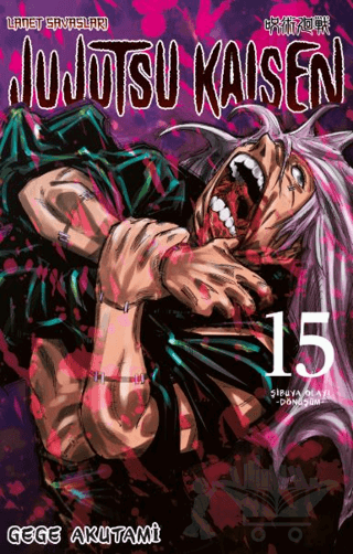 Jujutsu Kaisen 15. Cilt