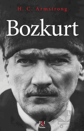 Bozkurt