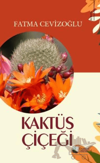 Kaktüs Çiçeği