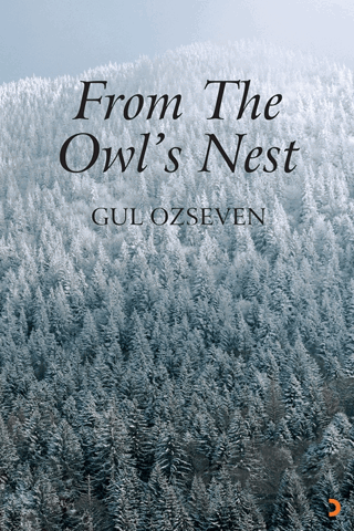 From The Owl’s Nest
