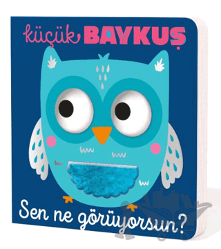 Küçük Baykuş Sen Ne Görüyorsun?
