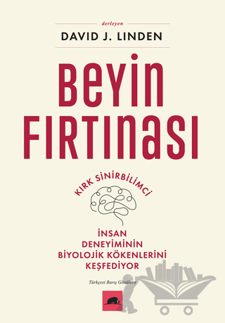 Beyin Fırtınası
