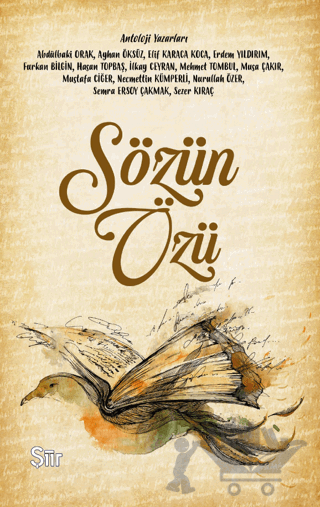 Sözün Özü