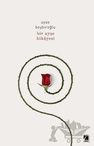 Bir Ayşe Hikayesi