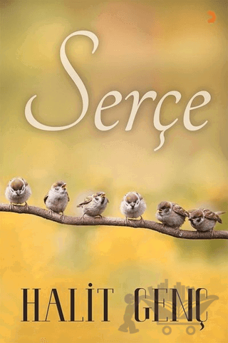 Serçe