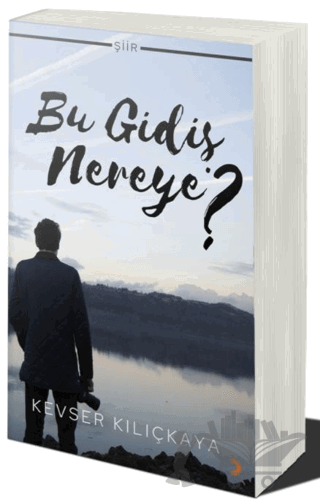 Bu Gidiş Nereye?