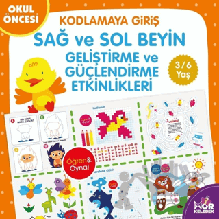 Kodlamaya Giriş Sağ ve Sol Beyin Geliştirme ve Güçlendirme Etkinlikleri