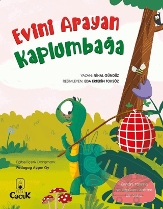 Evini Arayan Kaplumbağa
