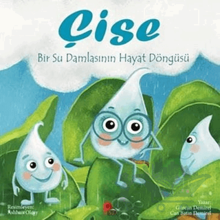 Çise: Bir Su Damlasının Hayat Döngüsü