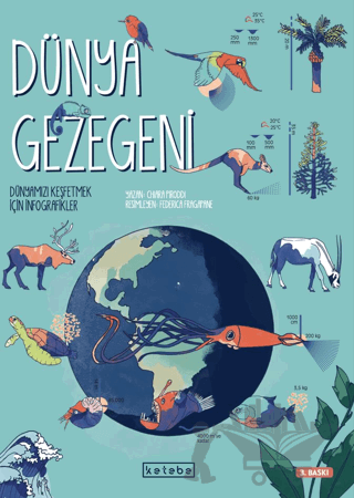 Dünya Gezegeni