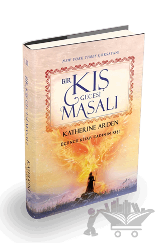 Bir Kış Gecesi Masalı