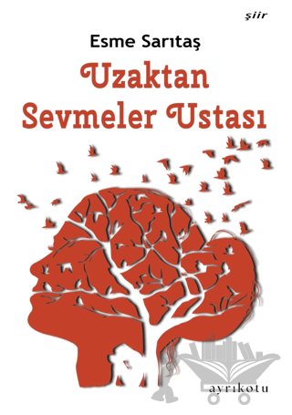 Uzaktan Sevmeler Ustası