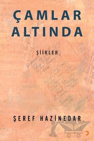 Çamlar Altında