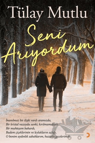 Seni Arıyordum