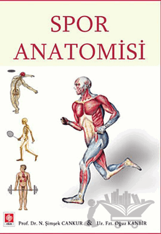 Spor Anatomisi