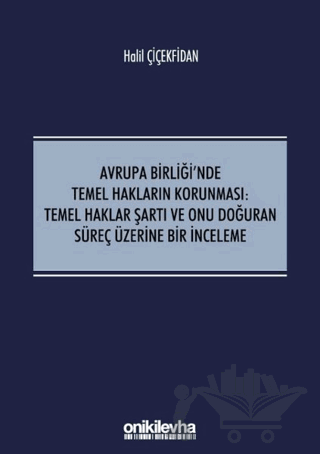 Avrupa Birliği'nde Temel Hakların Korunması: Temel Haklar Şartı ve Onu Doğuran Süreç Üzerine Bir İnceleme