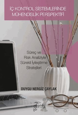 İç Kontrol Sistemlerinde Mühendislik Perspektifi