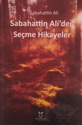 Sabahattin Ali`den Seçme Hikayeler