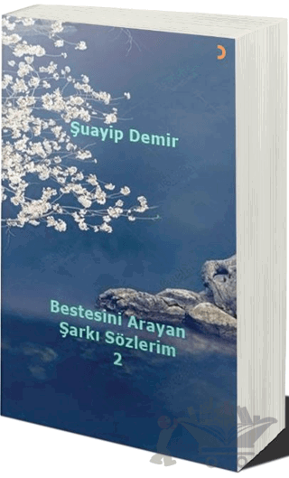 Bestesini Arayan Şarkı Sözlerim 2