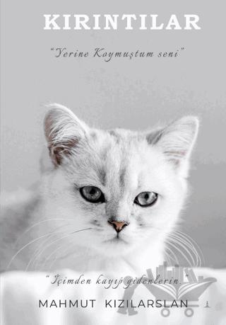 Kırıntılar