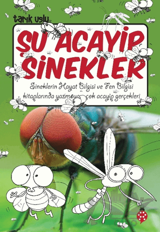Şu Acayip Sinekler