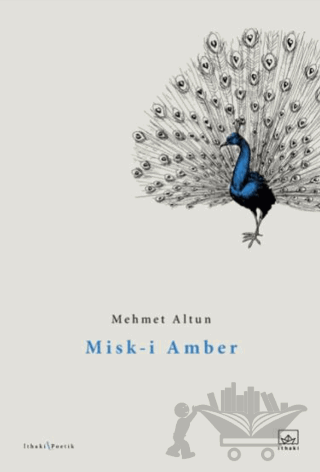 Misk-i Amber