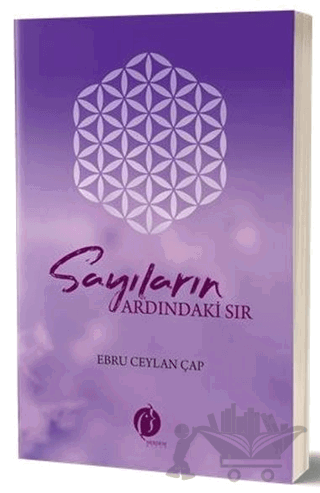 Sayıların Ardındaki Sır