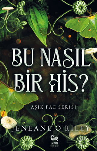 Bu Nasıl Bir His