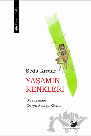 Yaşamın Renkleri