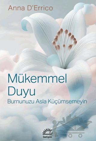 Mükemmel Duyu
