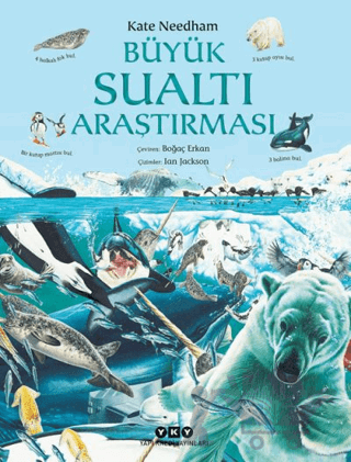 Büyük Sualtı Araştırması