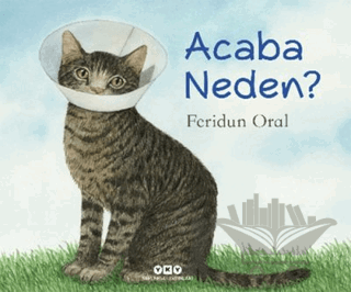 Acaba Neden?
