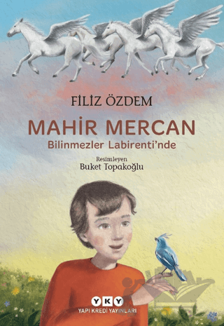 Mahir Mercan - Bilinmezler Labirenti'nde