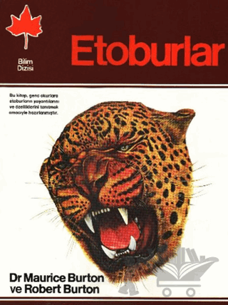 Etoburlar