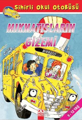 Mıknatısların Gizemi