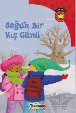 Soğuk Bir Kış Günü