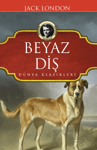 Beyaz Diş